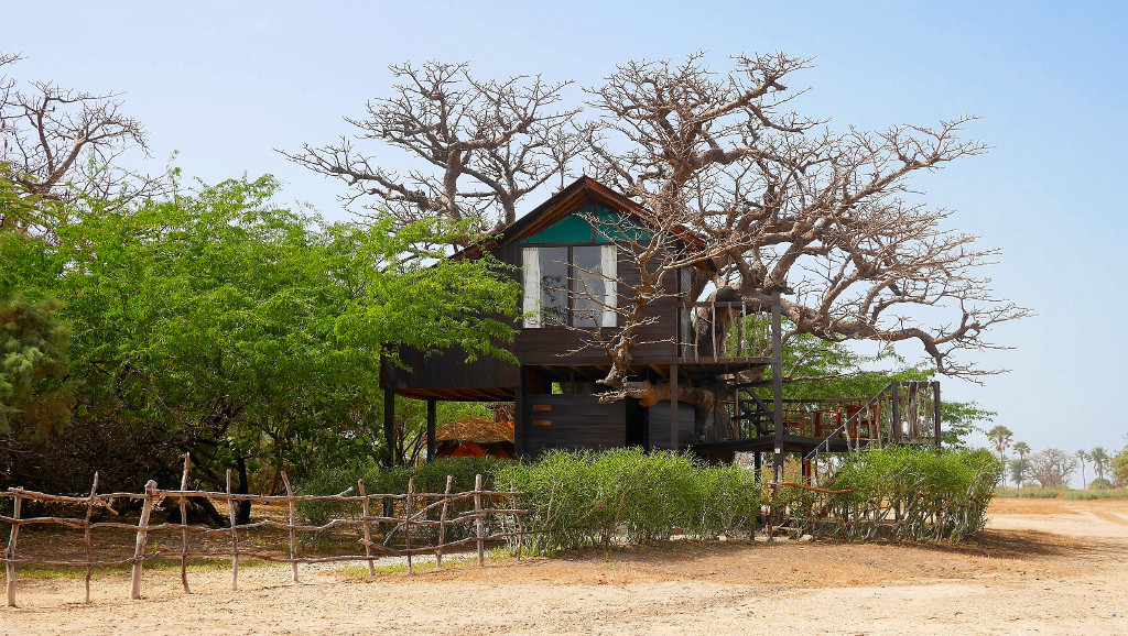 Cabane, Baobab, Niassam